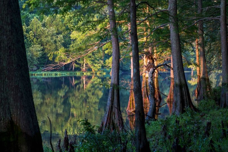 Beavers Bend State Park Hiking